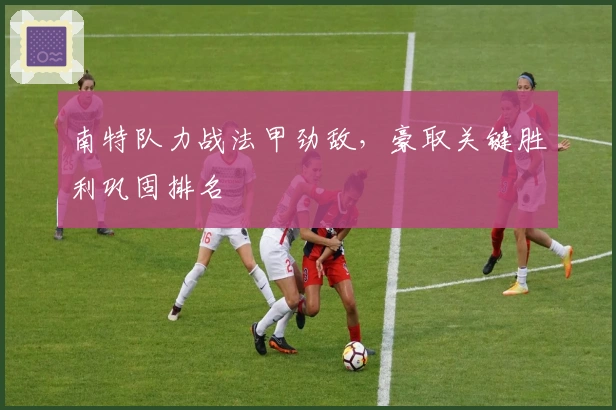 南特队力战法甲劲敌，豪取关键胜利巩固排名