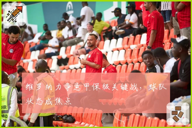 维罗纳力争意甲保级关键战，球队状态成焦点