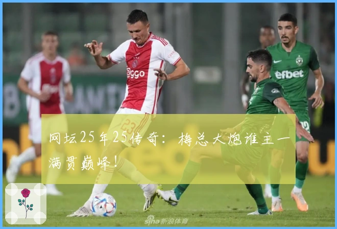 网坛25年25传奇：梅总大炮谁主一满贯巅峰！